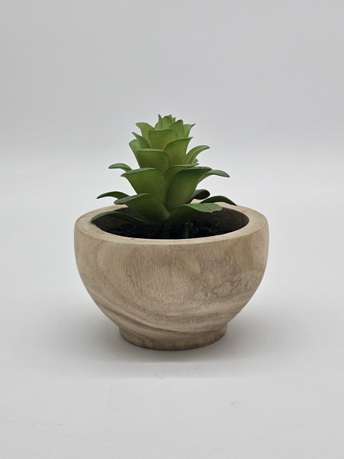 Threshold Faux Succulent Lifelike Plastic Greenery in Wooden Vase