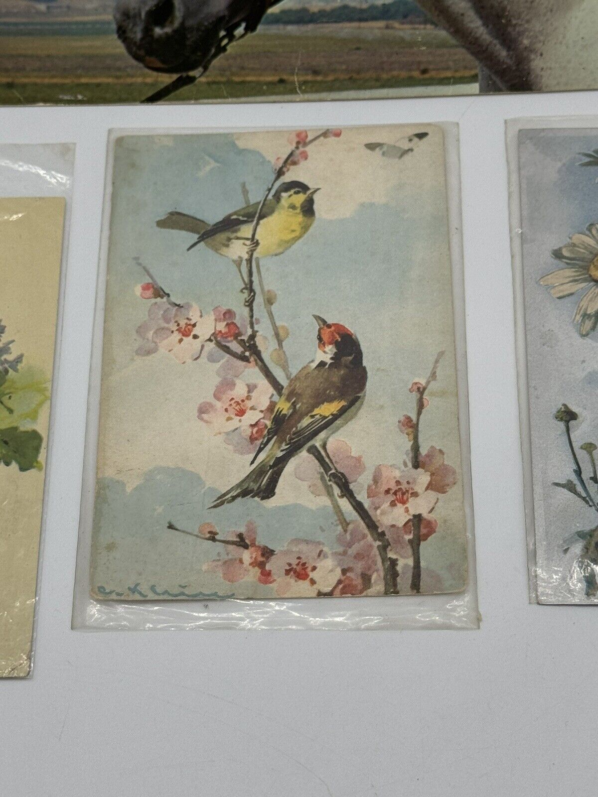 Lot of 8 Vintage Antique Postcards ~ Art Project Material