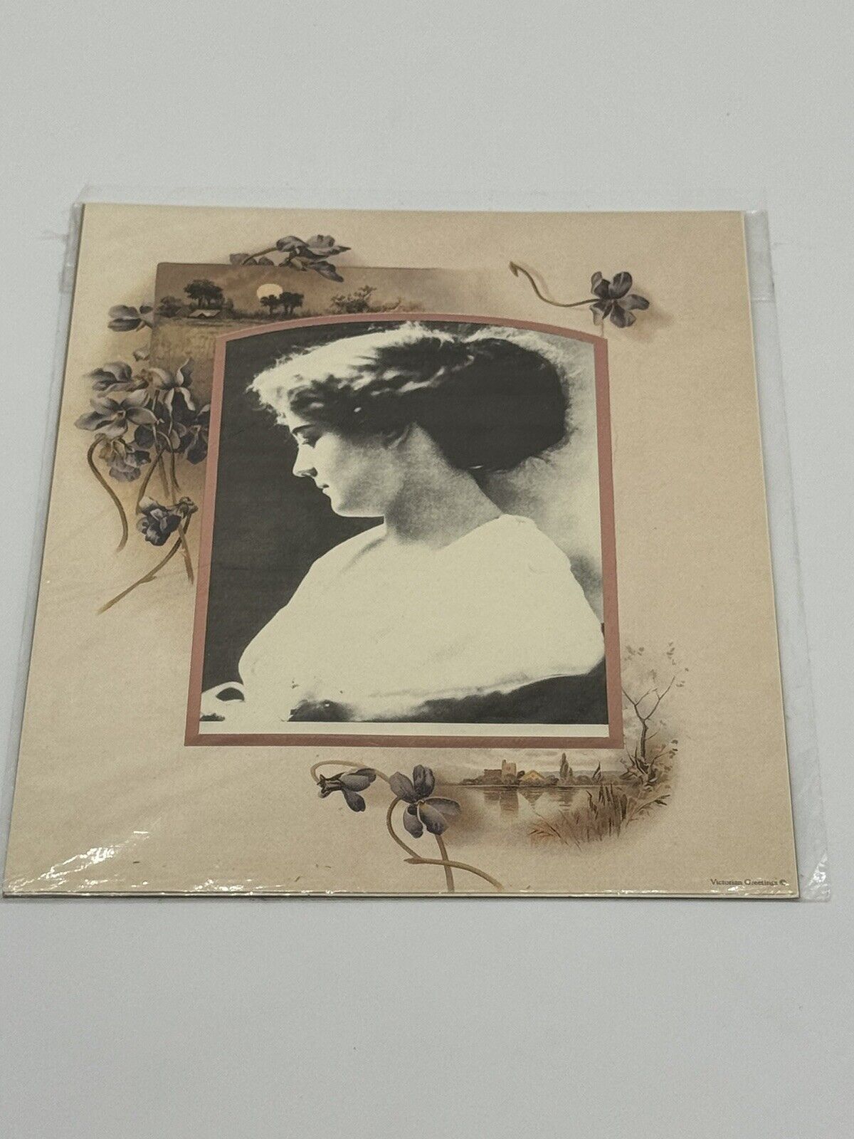Parchment Frame Victorian Greetings Vintage Portrait Frame Scrapbook