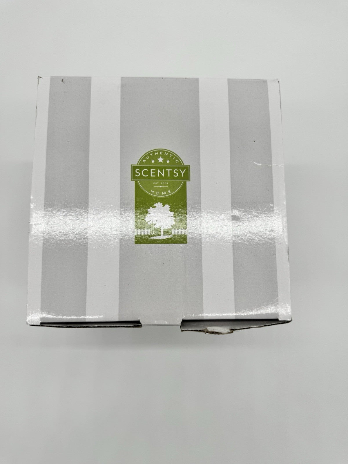 Scentsy Paranormal Pumpkin Halloween Warmer limited Edition