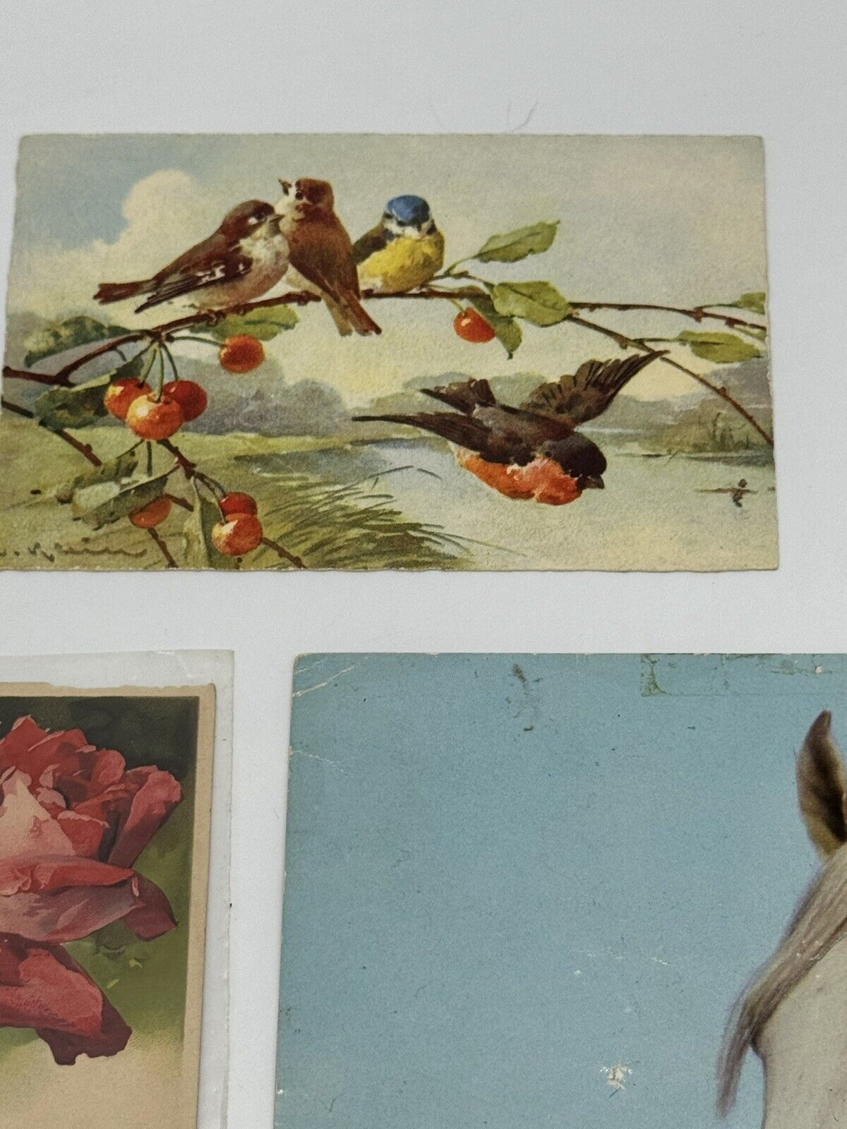 Lot of 8 Vintage Antique Postcards ~ Art Project Material