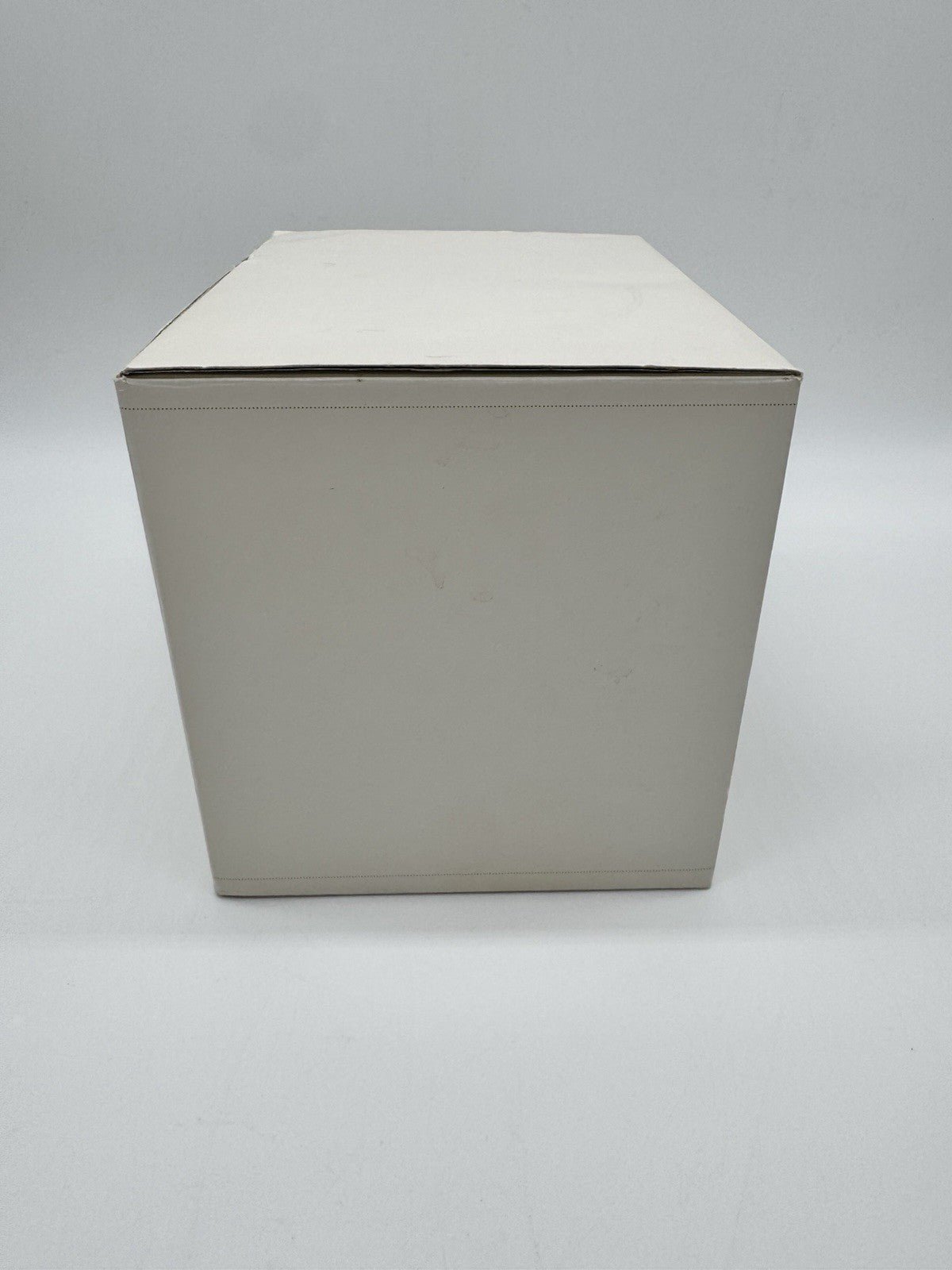 Hallmark Keepsake Ornament Wizard Of Oz I'll Get You My Pretty Christmas 2006