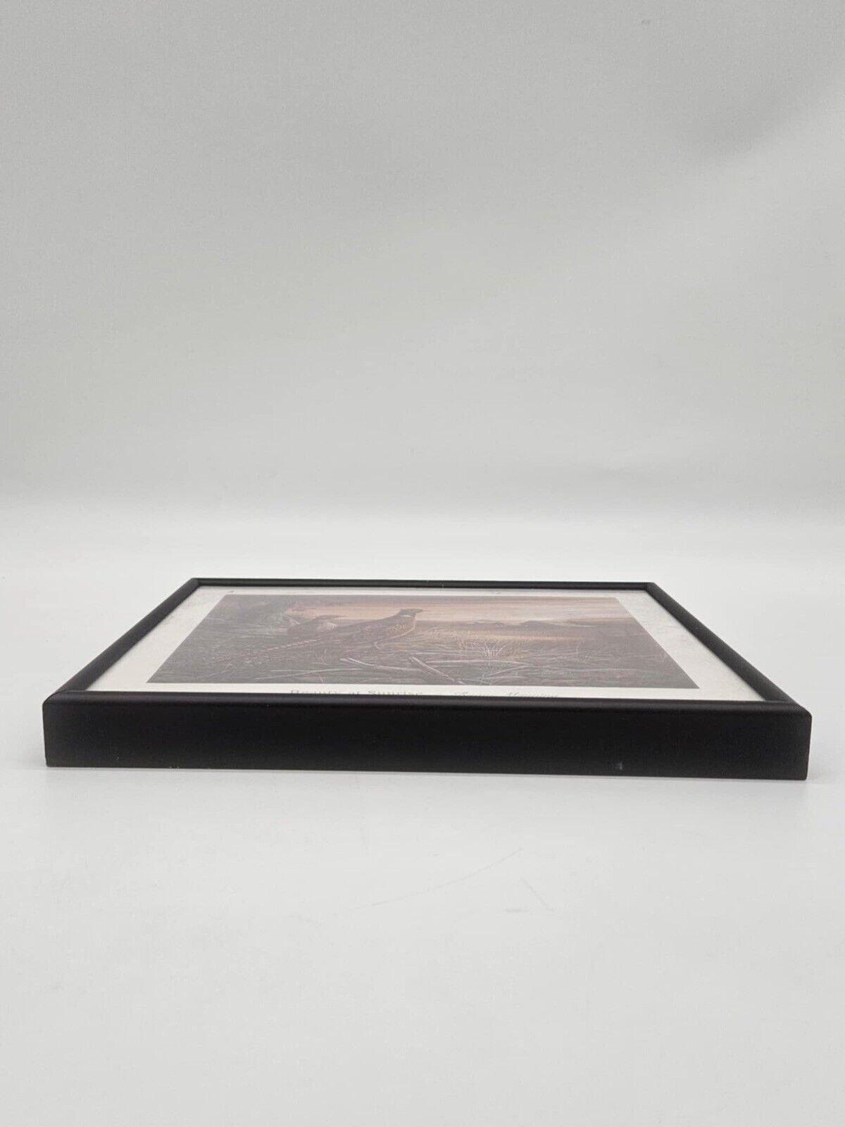 Golden Lab, Pheasant, Hunting Dogs 3 Framed Picture Set Home Decor (JB01)