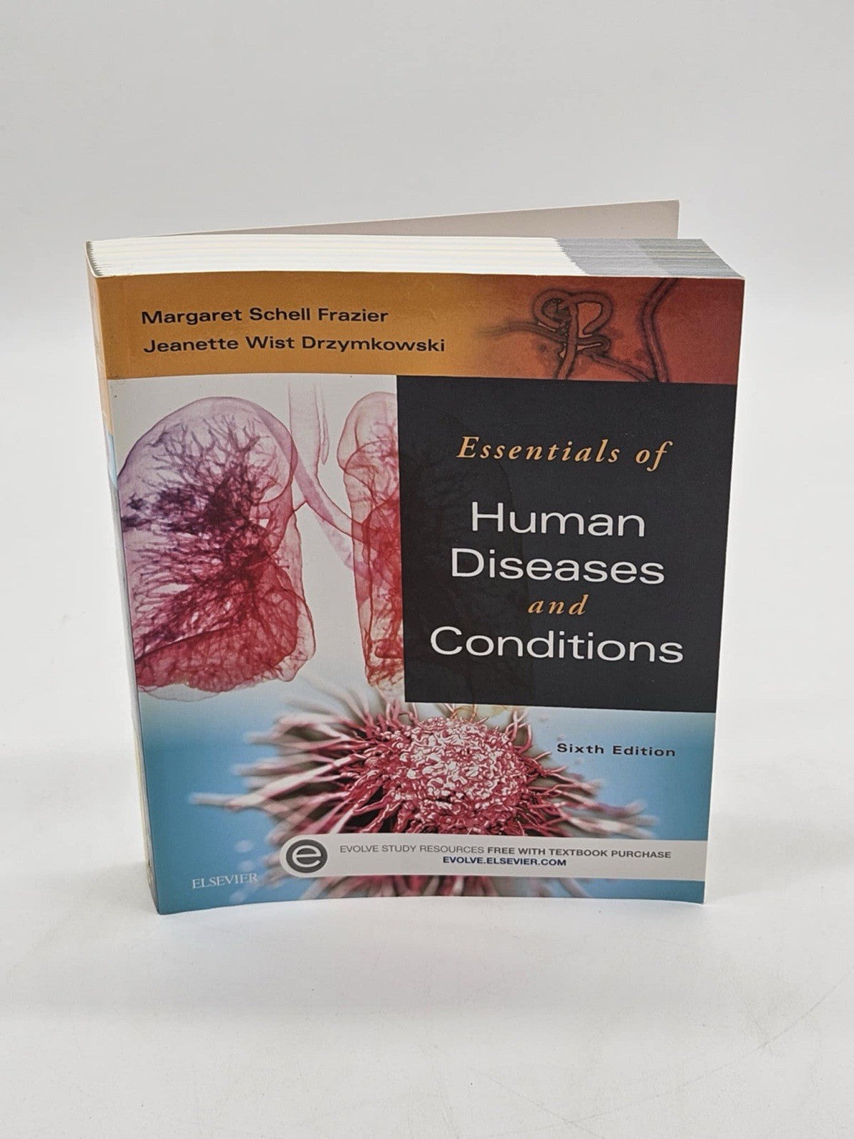 Essentials of Human Diseases and Conditions - Sixth Edition - Preowned
