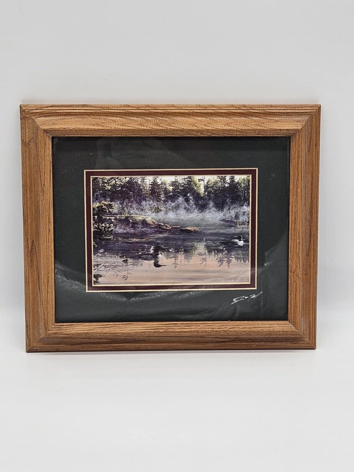 TWIN II LOONS by John McFaul FRAMED PRINT PICTURE Loons