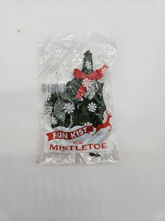 Vintage Real Mistletoe Dried Preserved, FUN KIST REAL MISTLETOE