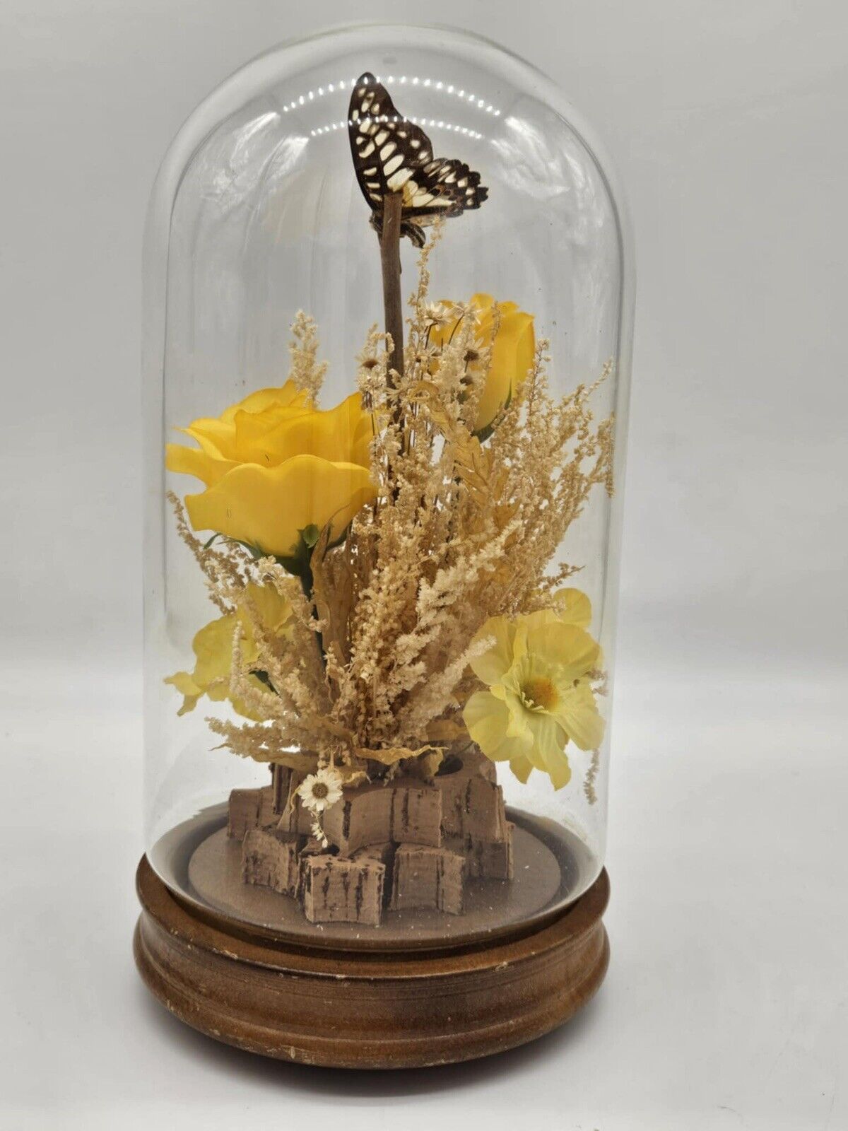 Vintage 1970s Butterfly in Glass Dome Display