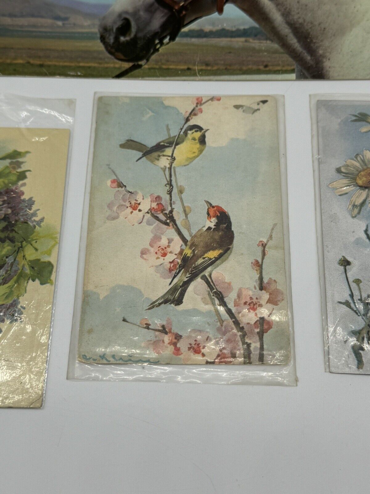 Lot of 8 Vintage Antique Postcards ~ Art Project Material