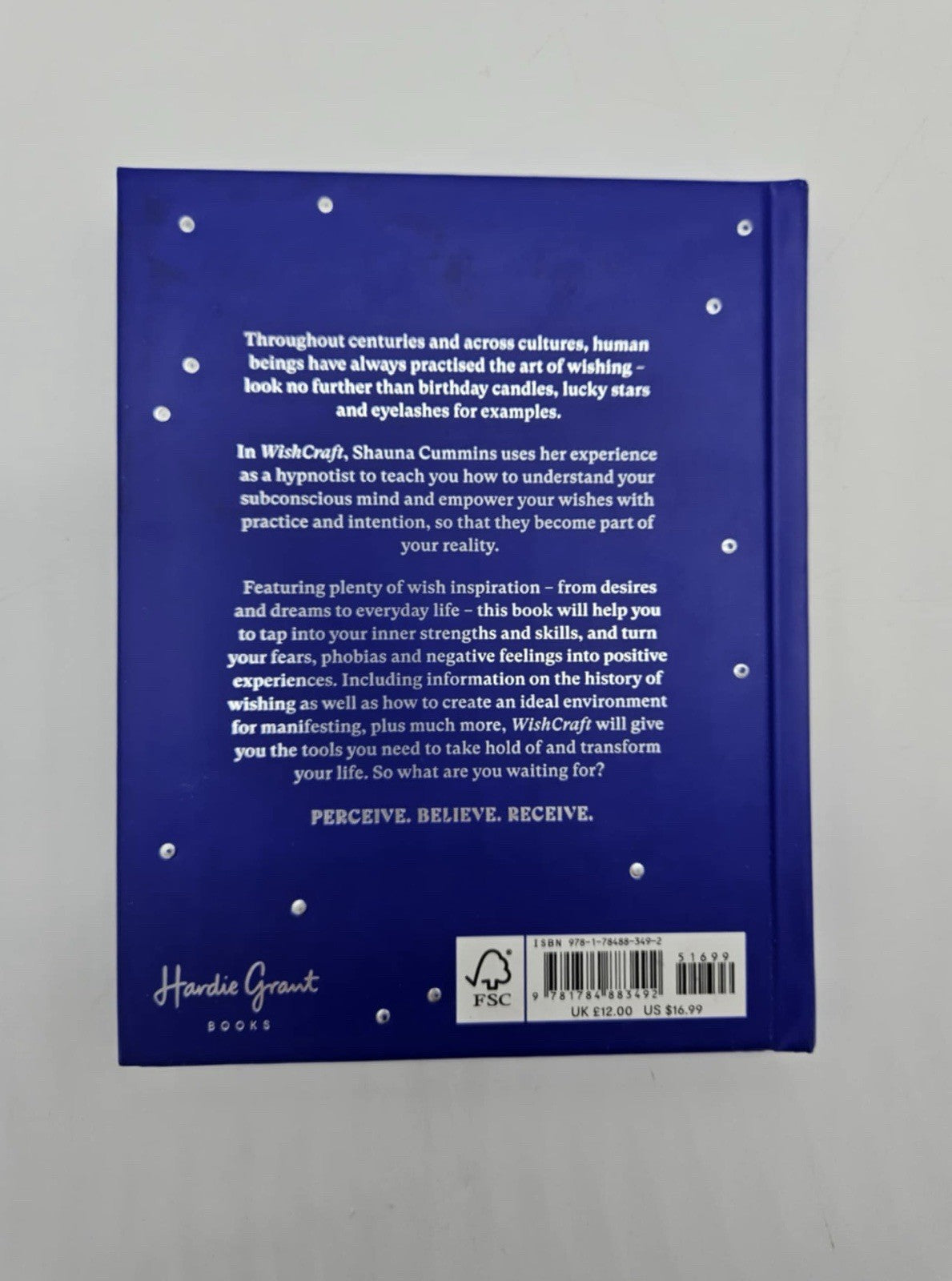 Wish Craft A Guide to Manifesting A Positive Future By Shauna Cummins