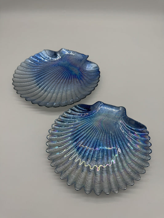 Glass Sea Shell Iridescent, Shimmery, Holographic, Opalescent effect