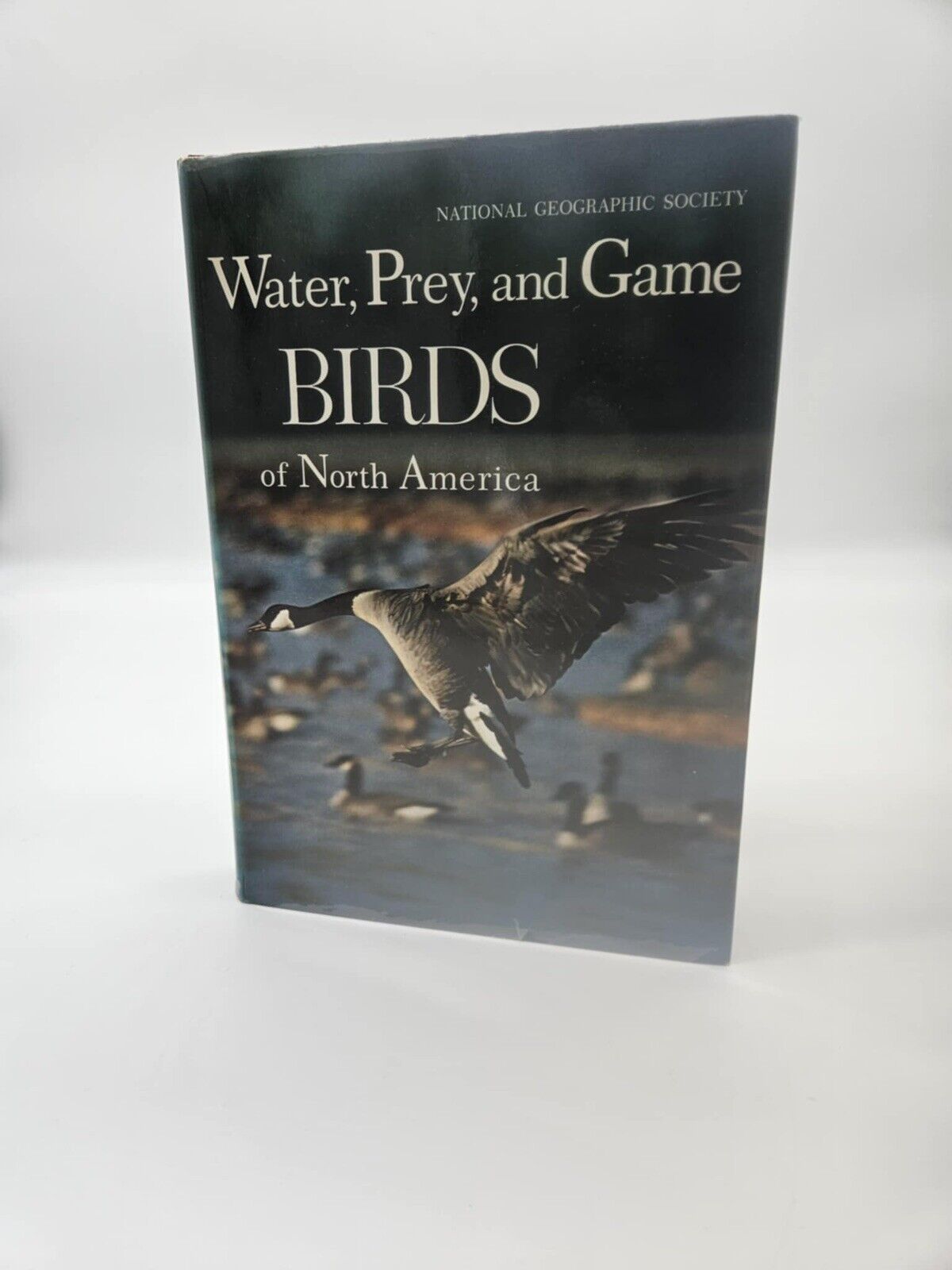 National Geographic BIRDS OF NORTH AMERICA Box Set with Bird Songs Records