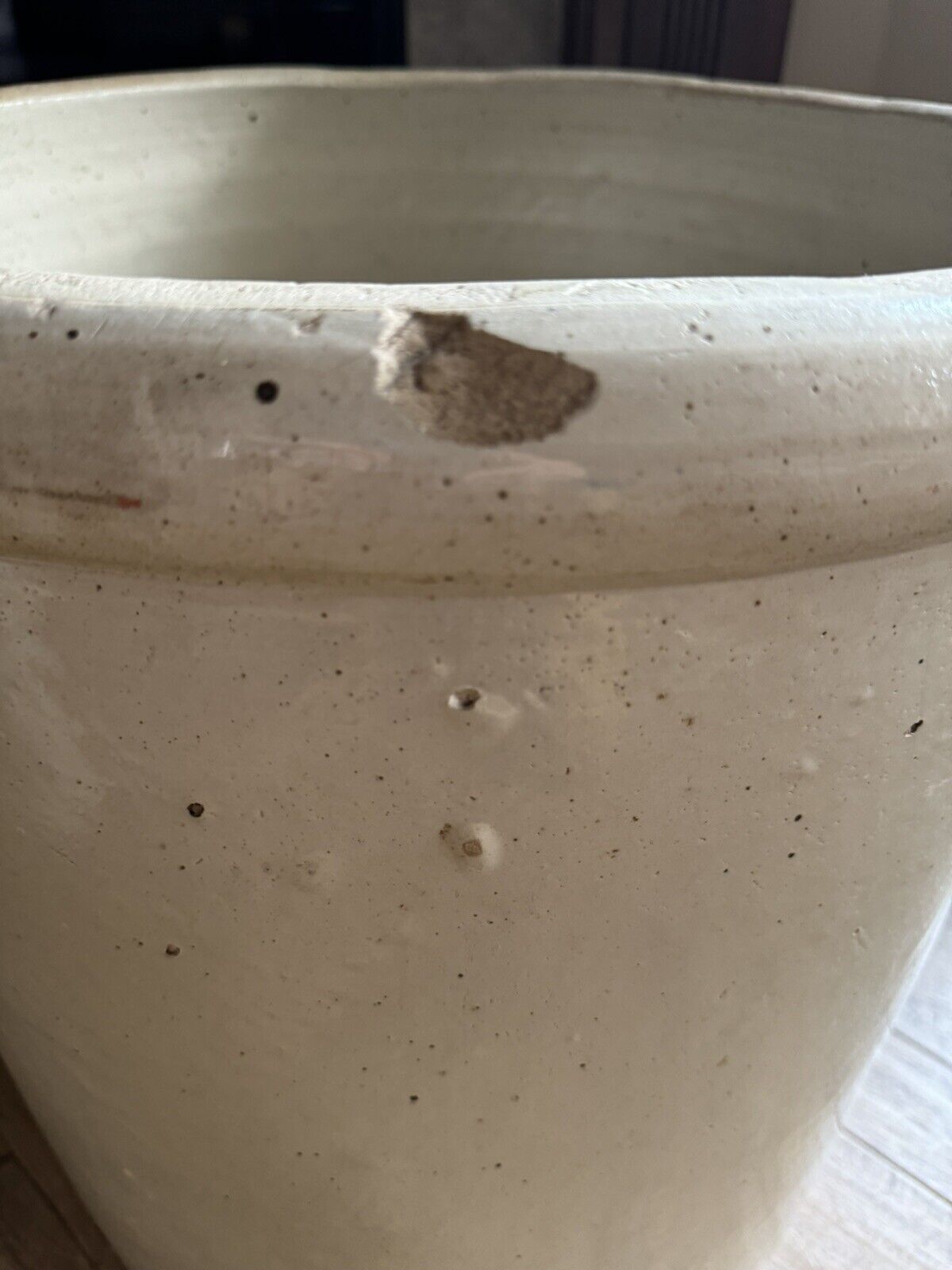 Antique 15 Gallon Birch Leaf Stoneware Antique Red Wing Crock