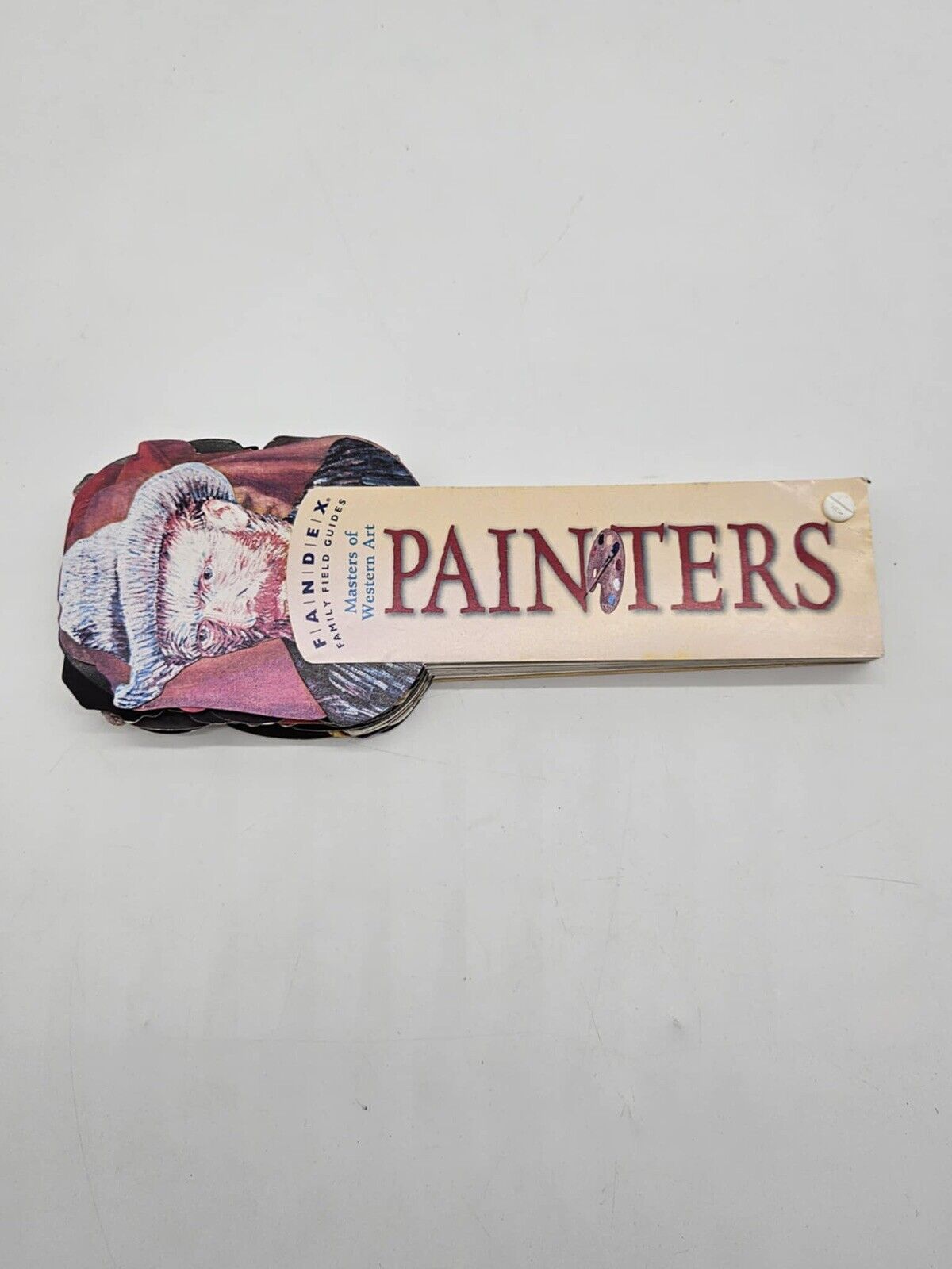 Painters: Masters of Western Art (Fandex Family Field Guides)