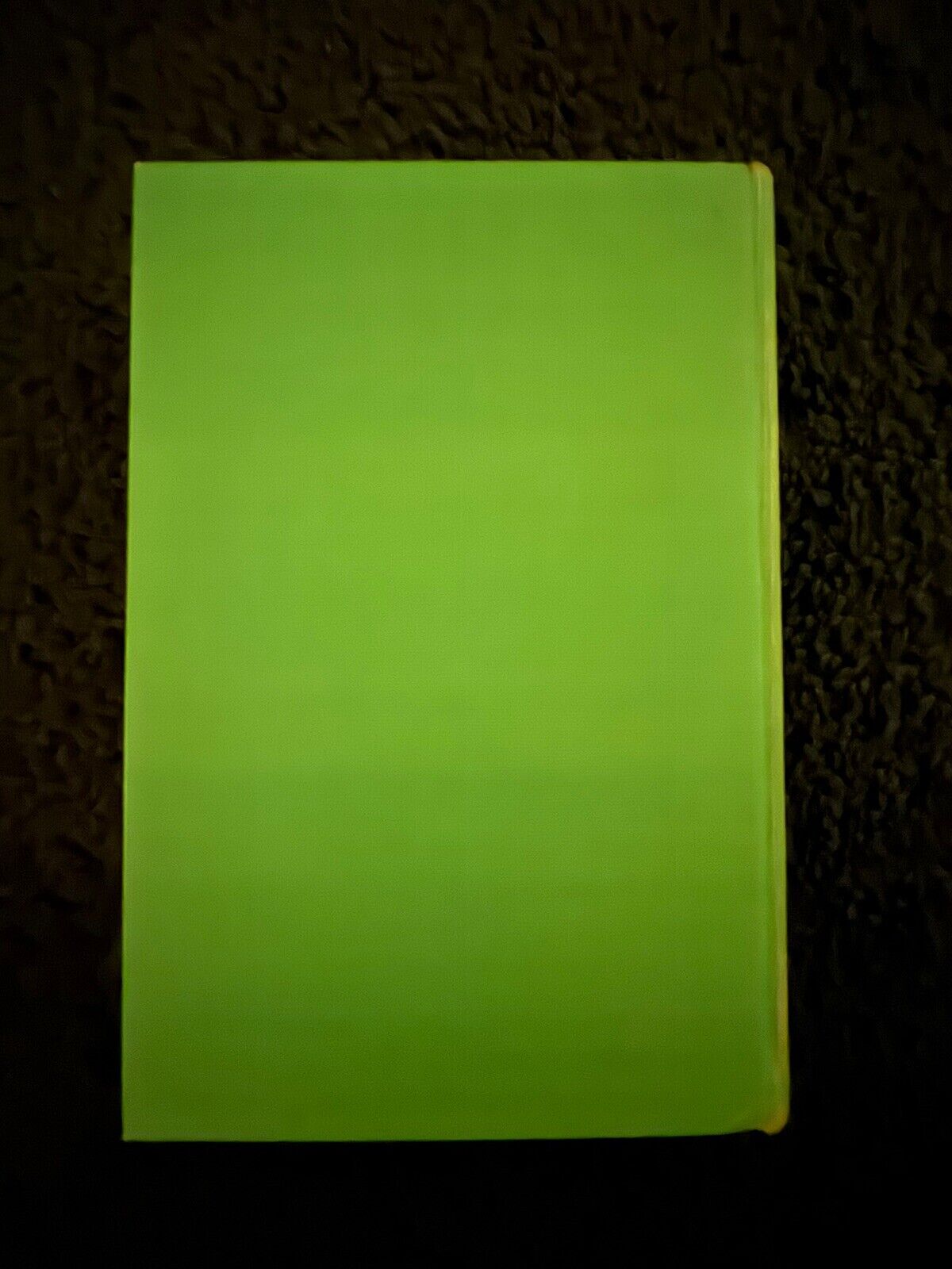 MARGARET SUTTON THE GHOST PARADE JUDY BOLTON MYSTERY GROSSET & DUNLAP C.1933