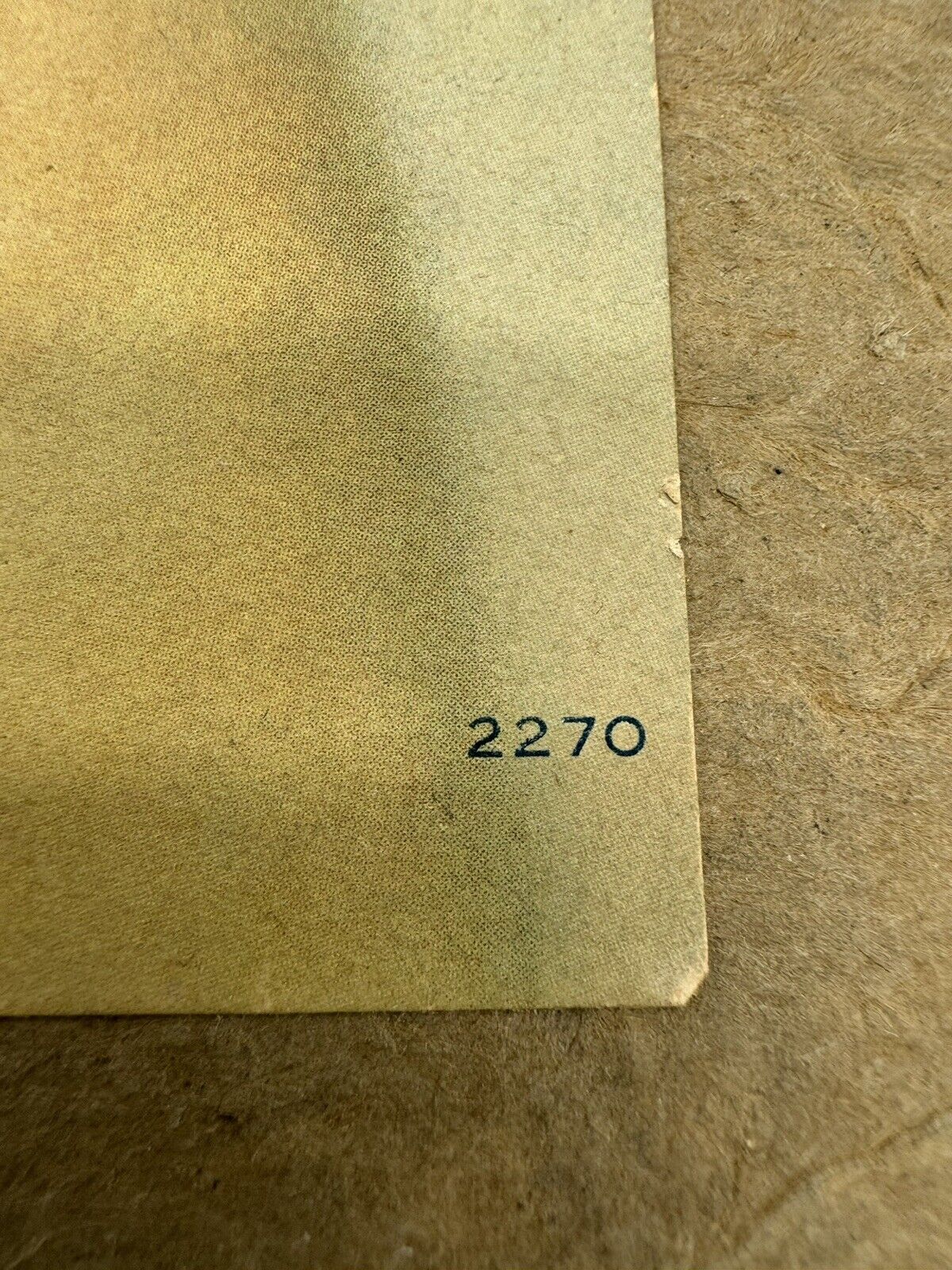 Early 1900s Pastle Painting Portrait of Beautiful Woman ~ ©R. c.co..N.y.