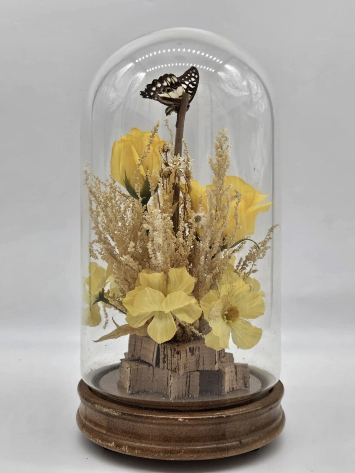 Vintage 1970s Butterfly in Glass Dome Display