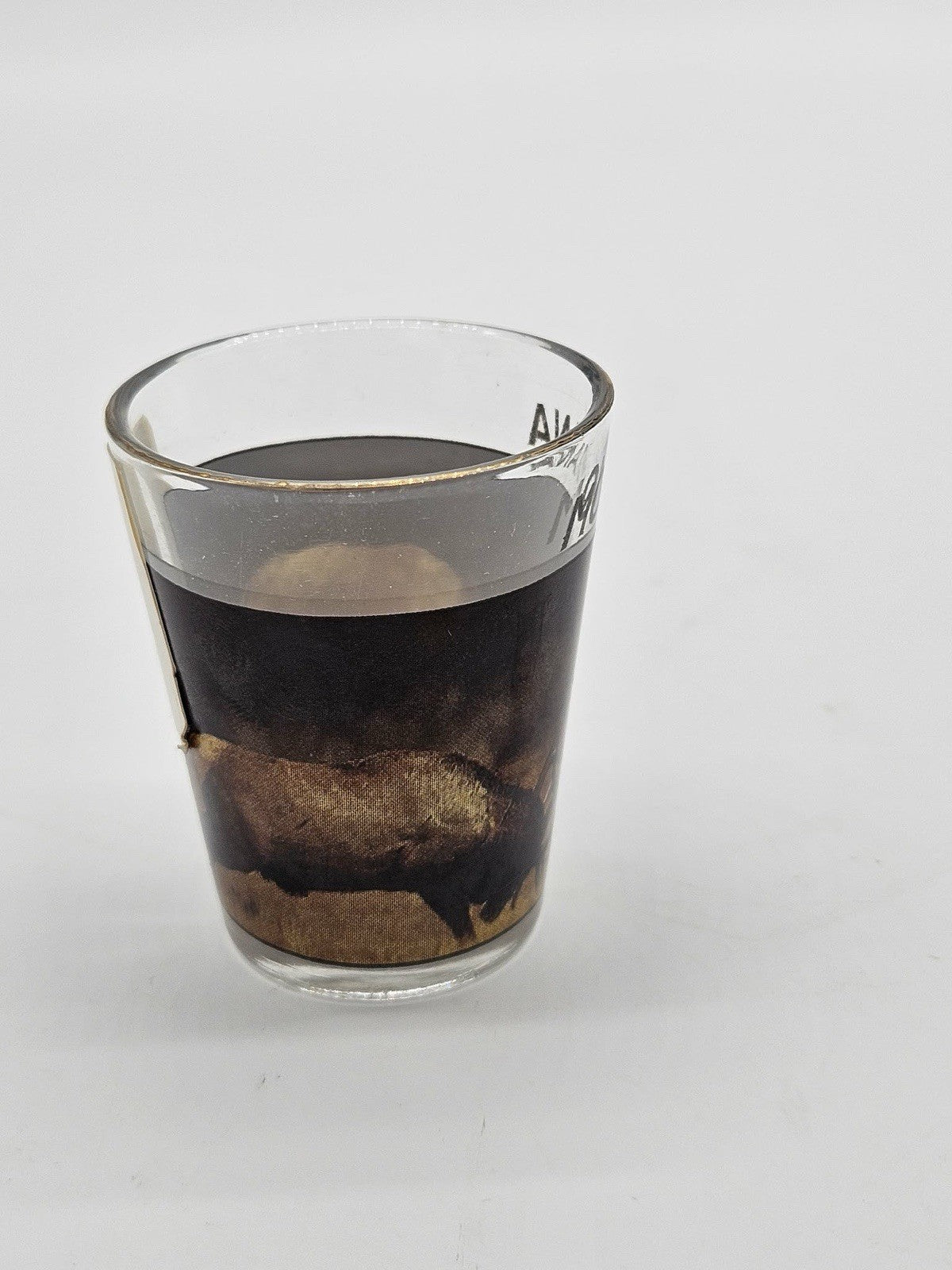 Montana Elk Wildlife Scenic Souvenir Shot Glass