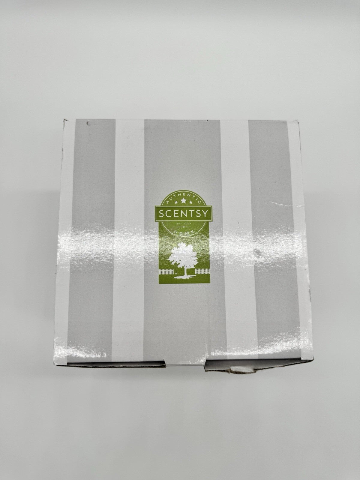 Scentsy Paranormal Pumpkin Halloween Warmer limited Edition