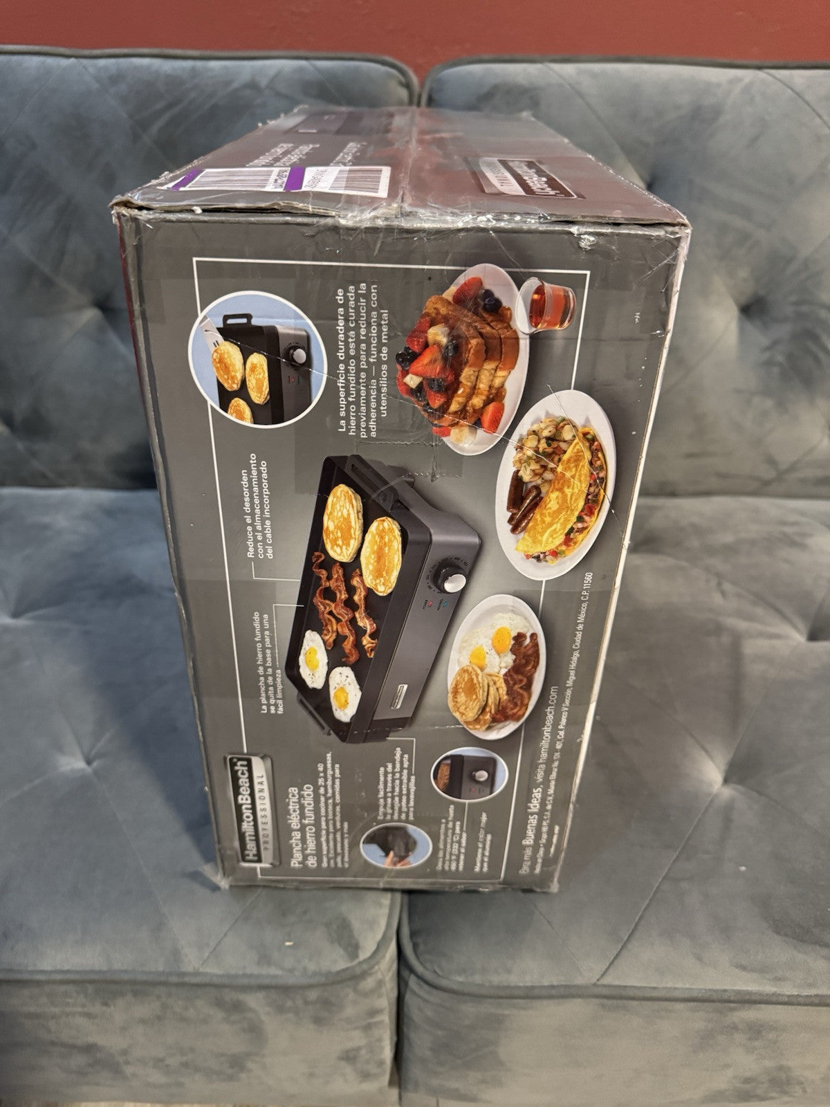 Hamilton Beach Professional Cast Iron Indoor Electric Grill & Griddle, 10" x ...