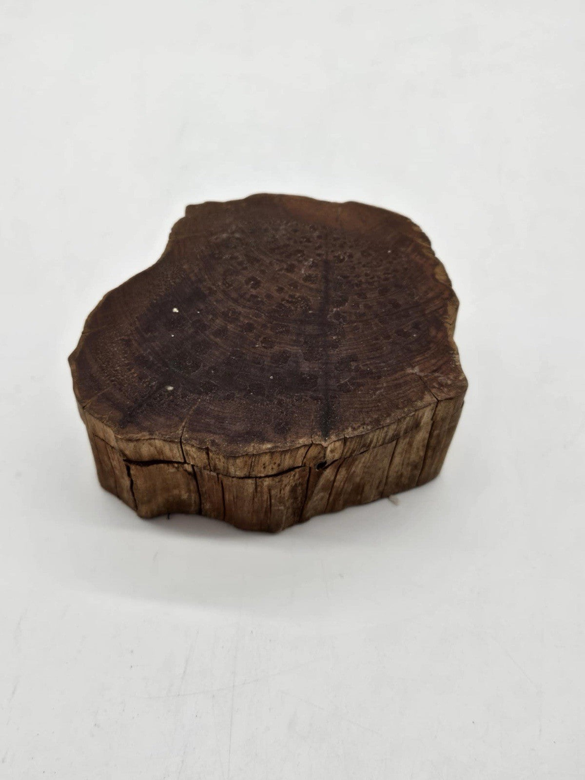 Driftwood Jewel Box Treasure Box Handmade Vanity Decor Unique VTG